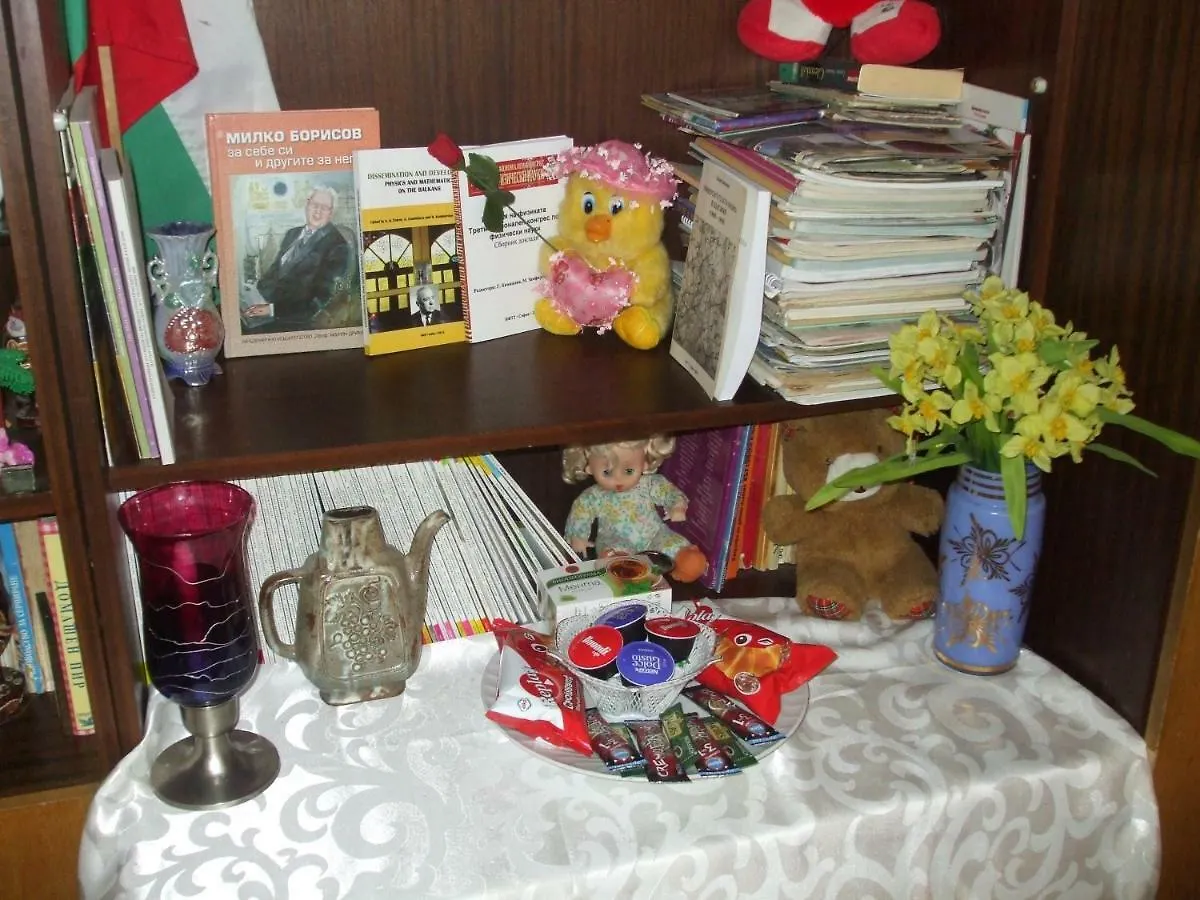 Kamigs Rooms Sofía